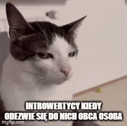 kwiatkojanek peace silent GIF