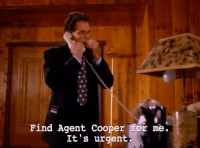 season 2 GIF by Twin Peaks on Showtime