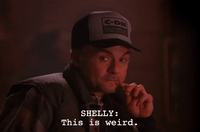 season 2 GIF by Twin Peaks on Showtime