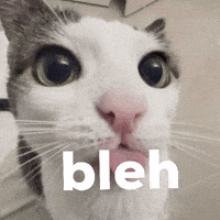 alurchopp cats cars bleh bleh cat GIF