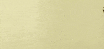 InsectCop bug insect ladybug beetle GIF