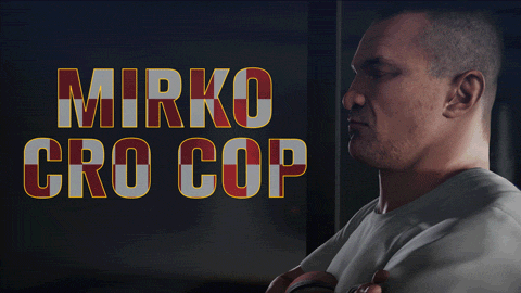 mirko cro cop fight GIF by EA SPORTS UFC