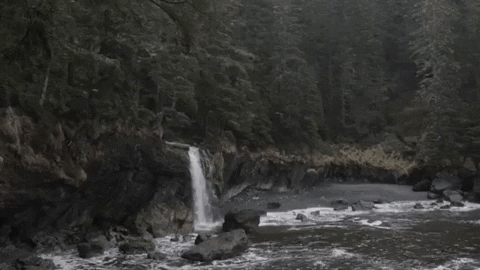 uviccampuslife giphygifmaker nature peace forest GIF