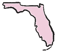 South Florida Beauty Sticker by laserbynicole