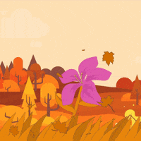 Flower Autumn GIF