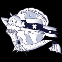 Amsterdenim blue water sea amsterdam GIF