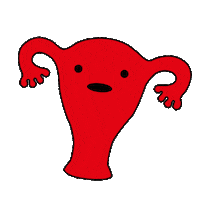 auyoinfo trompi Sticker by Auyo