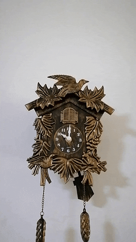giphyupload GIF
