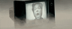 pink pink p!nk nate ruess just give me a reason GIF
