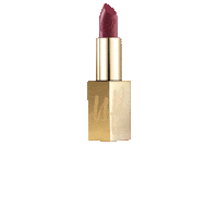 Lipstick Sticker by UP COSMETICS
