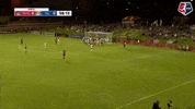 GIF by Washington Spirit