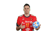 rfebalonmano handball spain espana balonmano Sticker