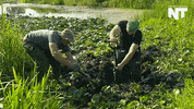 war news GIF by NowThis 