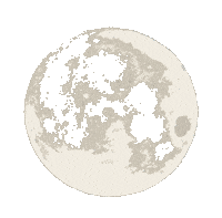 Space World Sticker