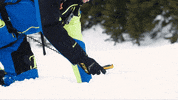 Backcountry_Access ski safety avalanche bca GIF