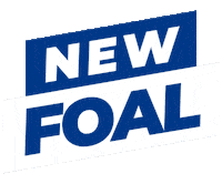 Arabian Breeding Sticker by al shahania stud