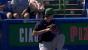 Blue Jays Mlb GIF by Toronto Blue Jays