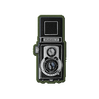 Ellibroamarillo Sticker by El Palacio de Hierro