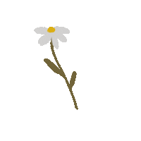 Happy Flower Sticker by laptitenoisette