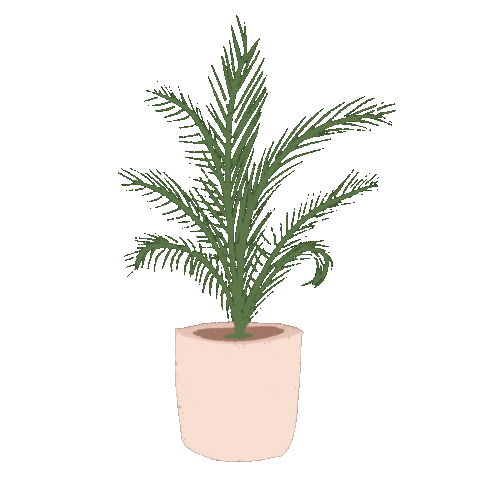 Rattenaa giphyupload flower plant tree Sticker