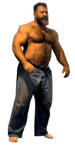 Gay Bear Sticker by Database數據