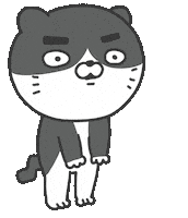 Sad Cat Sticker