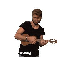 Guitar What Sticker