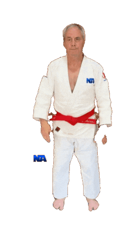 Judo Yuko Sticker by NA Effective Fighting