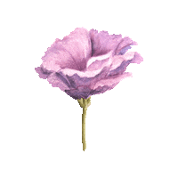 Flower Sticker
