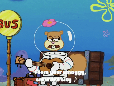 season 4 episode 10 GIF by SpongeBob SquarePants