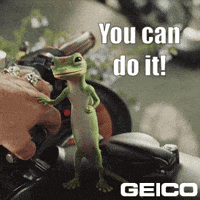 You Can Do It GIF by GEICO