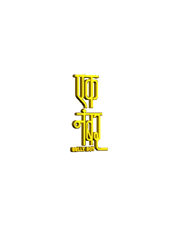 Gully Gang Tiger Baby Sticker by Gully Boy