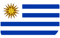 World Cup Football GIF