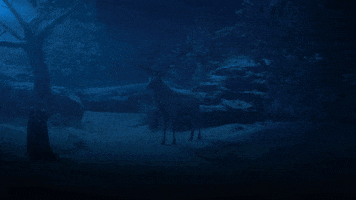 Shadow And Bone GIF by NETFLIX