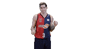 liga endesa win Sticker by ACB