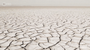 Thirsty GIF by PBS