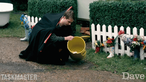 UKTVGIFBANK giphyupload taskmaster GIF