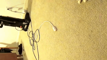 Cat Struggles to Catch Laser