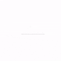 hawaii ironman GIF by Felt Bicycles