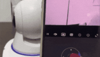 LKPM giphygifmaker GIF