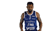Sport Basketball Sticker by Basket_fi