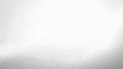 Icfj GIF by International Center For Journalists