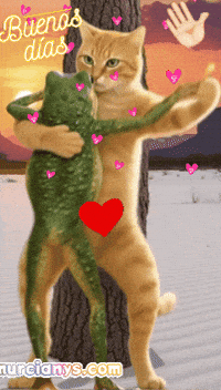 Sol Amigos GIF by Murcianys LLC