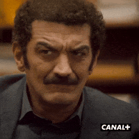 Jamel Debbouze Fun GIF by CANAL+