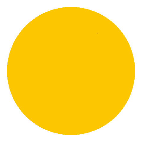 Sticker by WielerFlits