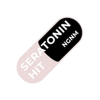 Beauty Road Sticker by No Gods No Masters® Cycling