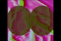 samgurry me queer horny orgasm GIF