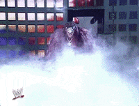 triple h wrestling GIF by WWE