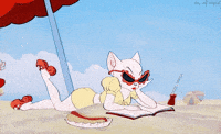 tom and jerry cat GIF