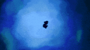 CRABUB water swimming underwater GIF